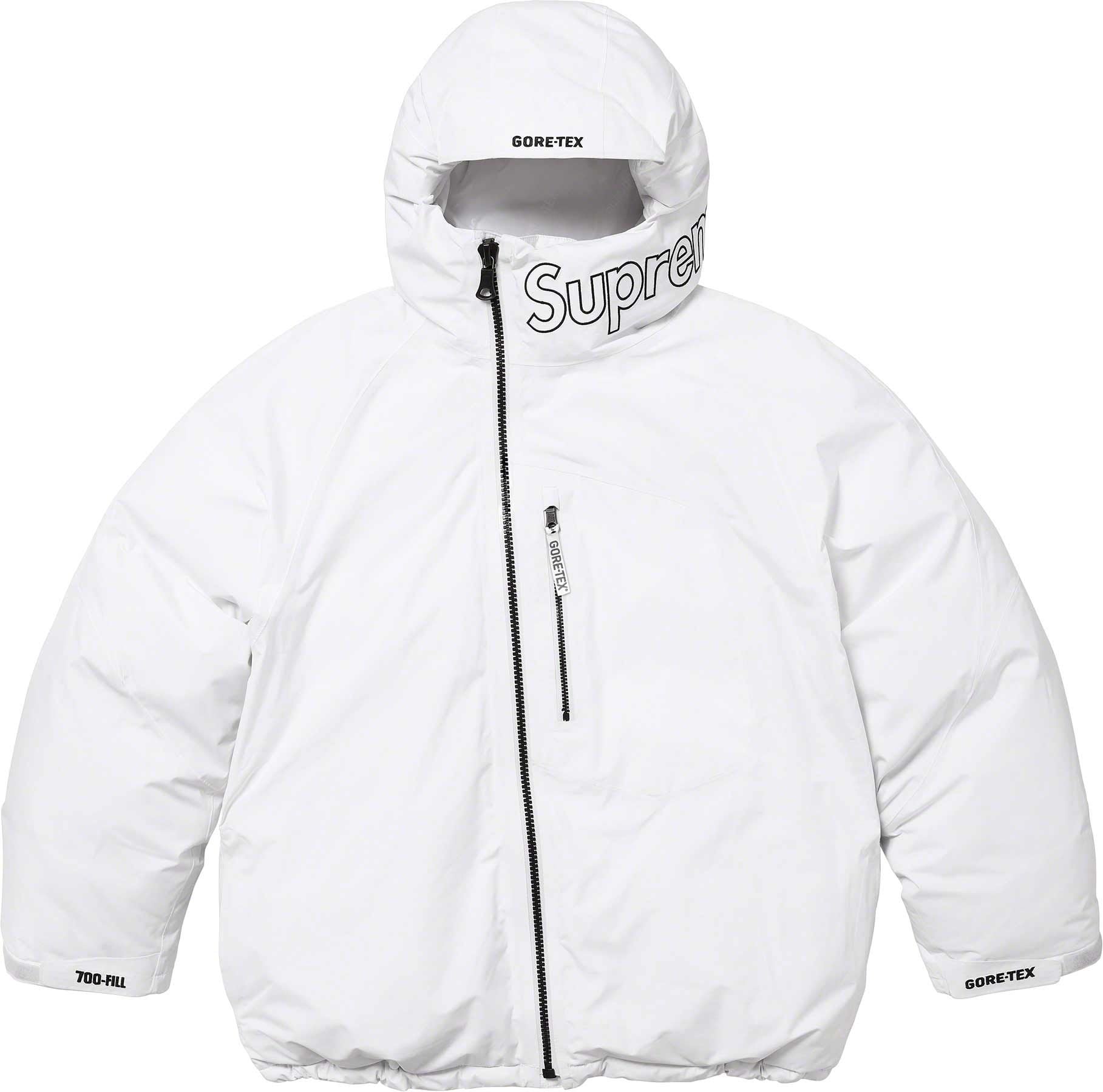 GORE-TEX 700-Fill Down Parka view 30